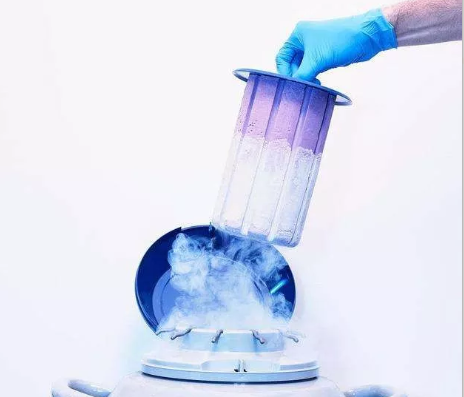 冷凍精子是怎樣的 凍精會影響試管成功率嗎
