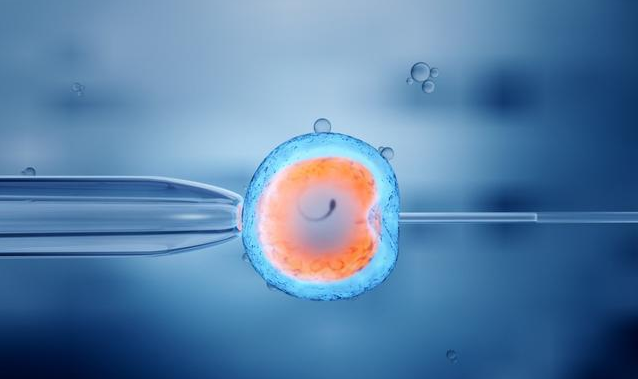 試管嬰兒取卵后肚子不舒服是什么原因 反復取卵對卵巢有影響嗎 試管嬰兒取卵后肚子不舒服是什么原因 反復取卵對卵巢有影響嗎