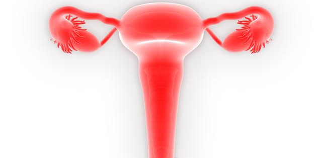 宮頸癌的高危人群有哪些 宮頸癌的治療方法 宮頸癌的高危人群有哪些 宮頸癌的治療方法