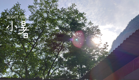 今日小暑早安說說 今日小暑說說心情感慨