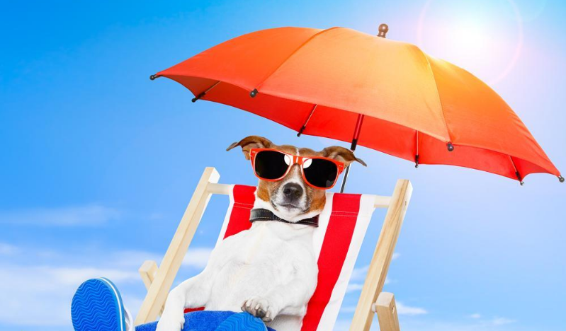 曬太陽有什么好處 適當的曬太陽可以補充維生素d嗎