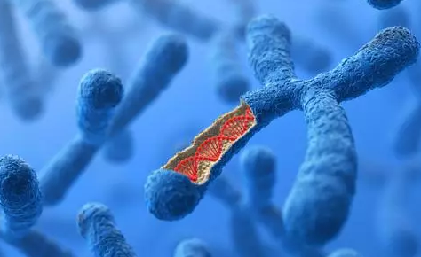 生殖免疫是遺傳的原因嗎 生殖免疫應該怎么檢查 生殖免疫是遺傳的原因嗎 生殖免疫應該怎么檢查