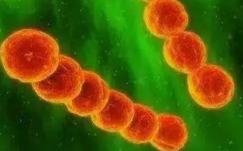 孩子得了猩紅熱癥狀有哪些 寶寶猩紅熱怎么治療