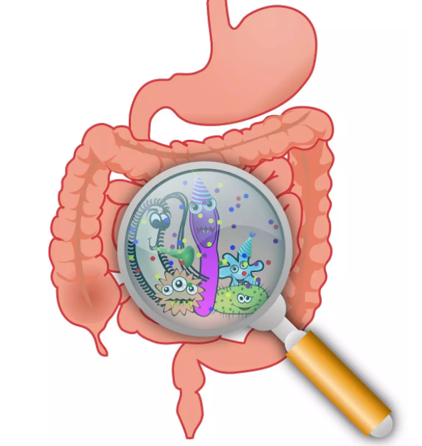 益生菌可以和奶粉一起沖嗎 什么情況下給寶寶補(bǔ)充益生菌有效
