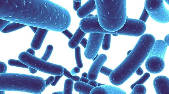 益生菌可以和奶粉一起沖嗎 什么情況下給寶寶補(bǔ)充益生菌有效