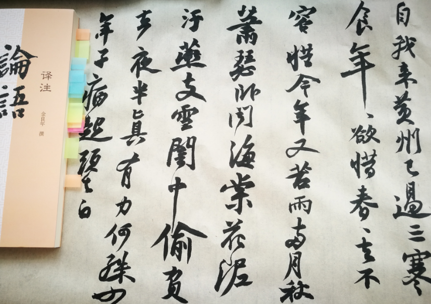 夏日賞荷花說說心情 關于夏日賞荷說說朋友圈