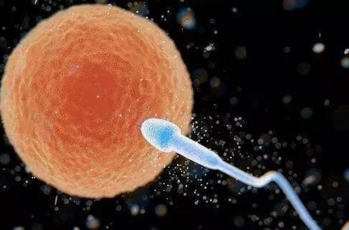 受精卵不著床怎么辦 如何讓受精卵著床 受精卵不著床怎么辦 如何讓受精卵著床