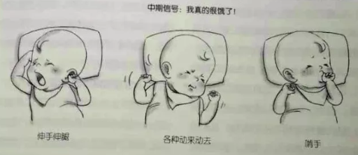 寶寶嘴巴一直動是為什么 嘴巴一直動是餓了嗎