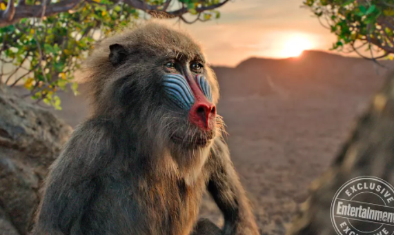 帶孩子看獅子王合適嗎 獅子王適合幾歲小孩看