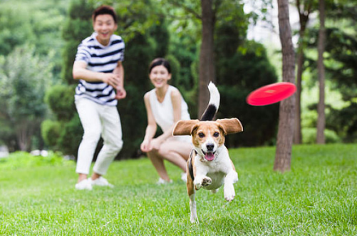 寶寶喜歡學狗叫是怎么回事 喜歡學狗叫怎么辦