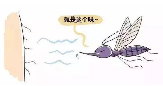 不同年齡段怎么給孩子驅(qū)蚊 孩子被蚊子咬了怎么幫他止癢