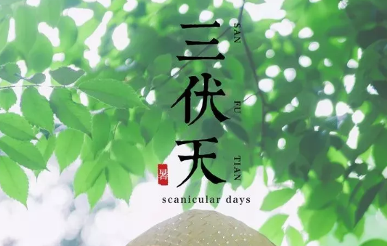 40天加長版三伏天什么時候開始 什么時候結束 40天加長版三伏天什么時候開始 什么時候結束