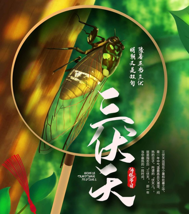 40天加長版三伏天 三伏天什么開始