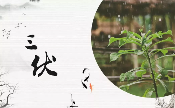 40天加長版三伏天怎么養(yǎng)生 2019年三伏天時間表