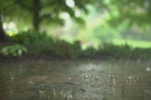 40天加長版三伏天開始時間 三伏天吃什么消暑