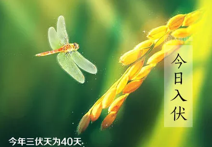 入伏第一天心情說說 入伏第一天朋友圈發什么說說好 入伏第一天心情說說 入伏第一天朋友圈發什么說說好