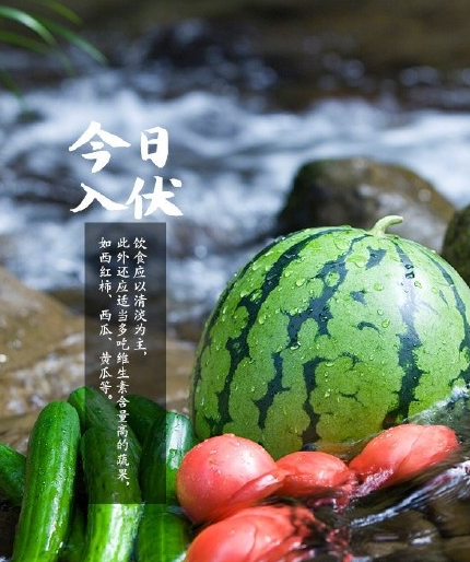 今日入伏帶字圖片大全 2019今日入伏朋友圈說說 今日入伏帶字圖片大全 2019今日入伏朋友圈說說