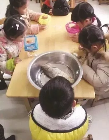 幼兒園的奇葩作業有哪些 幼兒園的奇葩作業大盤點