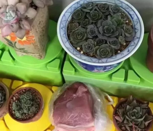 幼兒園的奇葩作業有哪些 幼兒園的奇葩作業大盤點