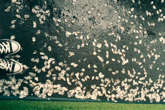 梅雨季沒內褲穿的搞笑說說 2019梅雨季心情說說