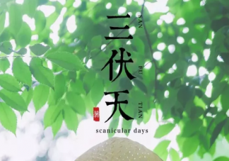 40天加長版三伏天什么時候開始 什么時候結(jié)束