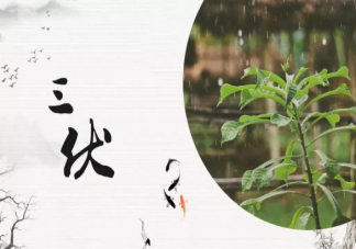 今日入伏朋友圈說說2019 三伏天朋友圈帶字圖片大全