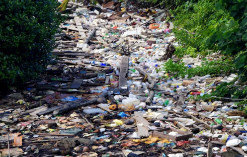 福州垃圾分類標(biāo)準(zhǔn)是什么 2019福州垃圾分類標(biāo)準(zhǔn)指南