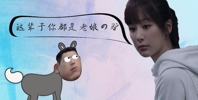 我的小毛驢不見了是什么梗 我的小毛驢不見了是哪一集