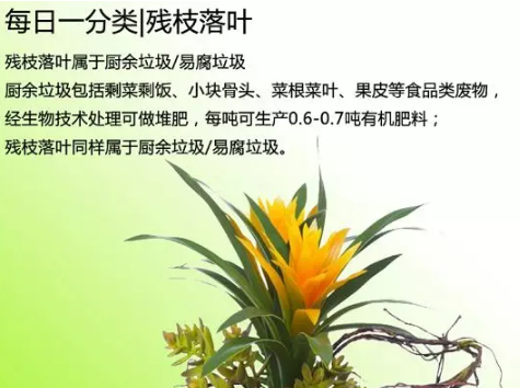 鄭州垃圾分類怎么時候開始 鄭州垃圾分類怎么投放