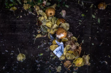 宜昌垃圾分類什么時候開始 宜昌垃圾分類標準是什么