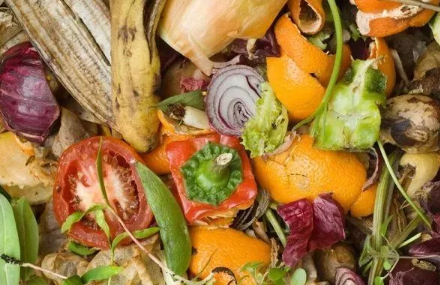 貴陽垃圾分類標準是什么 貴陽垃圾分類什么時候開始