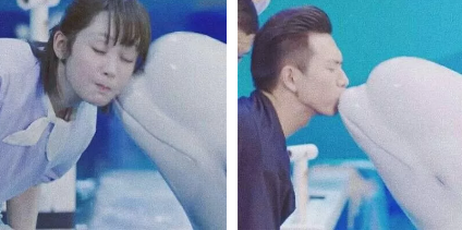 親愛的熱愛的韓商言佟年情侶頭像 親愛的熱愛的情侶頭像 親愛的熱愛的韓商言佟年情侶頭像 親愛的熱愛的情侶頭像