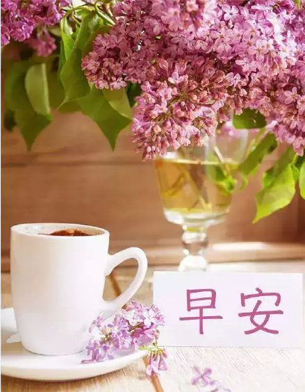 周末早安正能量句子 周末早安一句話勵志說說