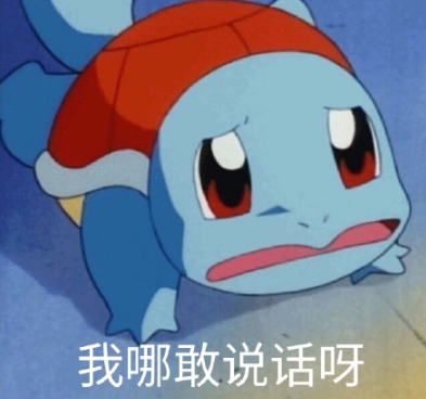 鐵憨憨杰尼龜表情包 憨憨敬禮杰尼龜表情包 鐵憨憨杰尼龜表情包 憨憨敬禮杰尼龜表情包