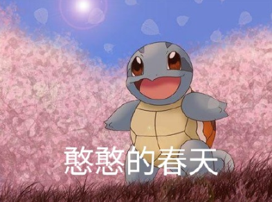 鐵憨憨杰尼龜表情包 憨憨敬禮杰尼龜表情包 鐵憨憨杰尼龜表情包 憨憨敬禮杰尼龜表情包