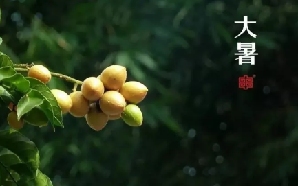 2019大暑節氣祝福語 關于大暑的祝福句子