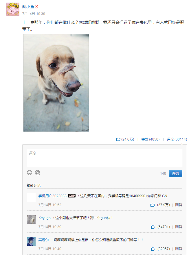 網易云音樂魷小魚是楊紫本人嗎 網易云音樂魷小魚是誰