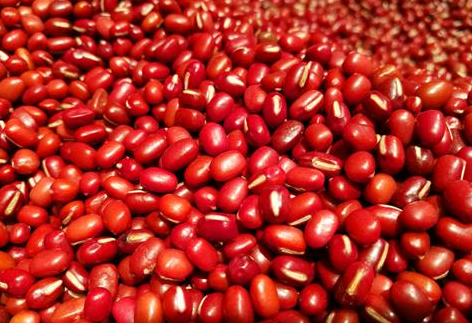 大暑節氣吃什么食物養生 大暑養生食物推薦 大暑節氣吃什么食物養生 大暑養生食物推薦