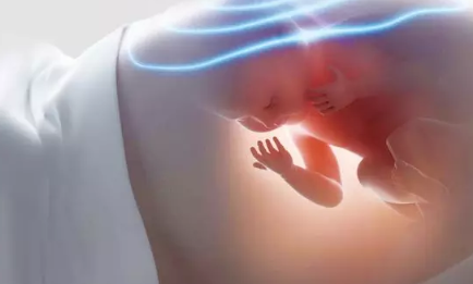 備孕期間可以養(yǎng)寵物嗎嗎 備孕期間想要養(yǎng)寵物怎么辦