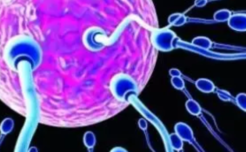 男性精子少能生育嗎 男性少精癥還能自然生育嗎 男性精子少能生育嗎 男性少精癥還能自然生育嗎