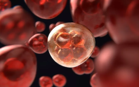 女性備孕看排卵試紙準不準 怎么用排卵試紙看同房時間 女性備孕看排卵試紙準不準 怎么用排卵試紙看同房時間