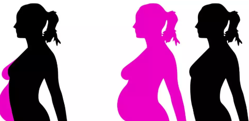 女性備孕看排卵試紙準不準 怎么用排卵試紙看同房時間 女性備孕看排卵試紙準不準 怎么用排卵試紙看同房時間