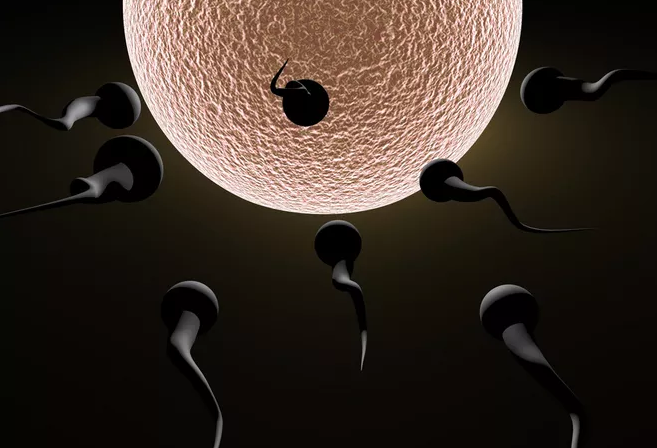 怎么看男子精子健不健康 男人吃什么可以補精子