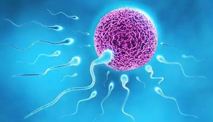 少精癥有哪些癥狀表現 少精癥和哪些因素有關