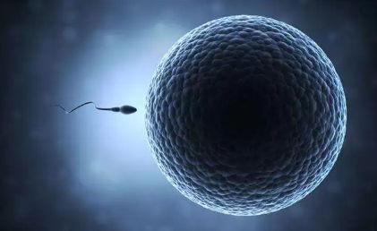 少精癥是什么原因?qū)е碌?少精癥的癥狀有哪些