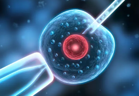 試管嬰兒促排卵越多越好嗎 試管促排卵卵泡是不是越多越好  試管嬰兒促排卵越多越好嗎  試管過程中發現，許多患者總希望取到盡可能多的卵子，甚至在促排階段相互攀比卵泡數目。其實完全沒有必要，過多的卵泡數量