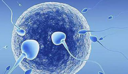 少精弱精癥能直接人工授精嗎 少精弱精癥能做試管嬰兒嗎