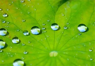 孩子中暑怎么推拿比較好 怎么預防孩子中暑