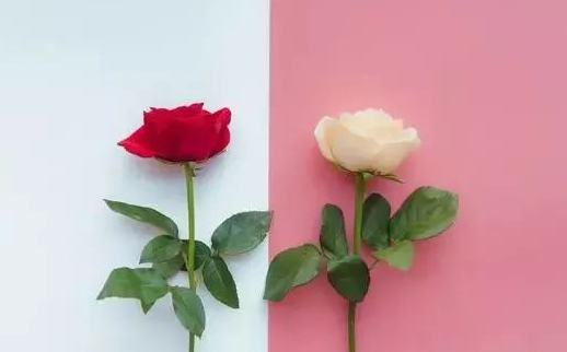 七夕秀恩愛句子簡(jiǎn)單 七夕朋友圈秀恩愛說說