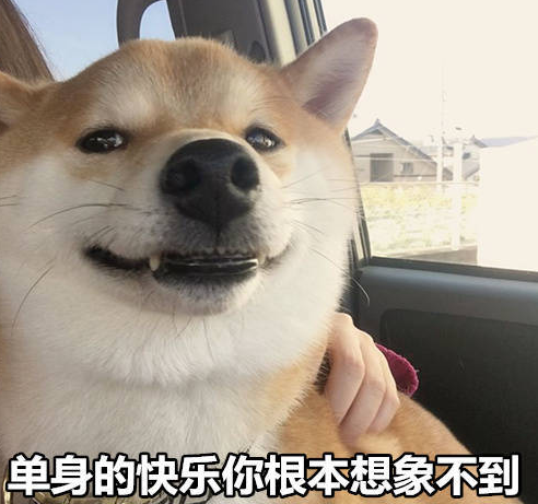 七夕單身朋友圈說說心情短語 七夕單身狗發的說說配圖 七夕單身朋友圈說說心情短語 七夕單身狗發的說說配圖